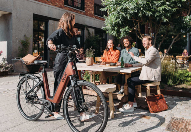 Nieuw bij Fietsenwinkel.nl: e-bikes van QWIC